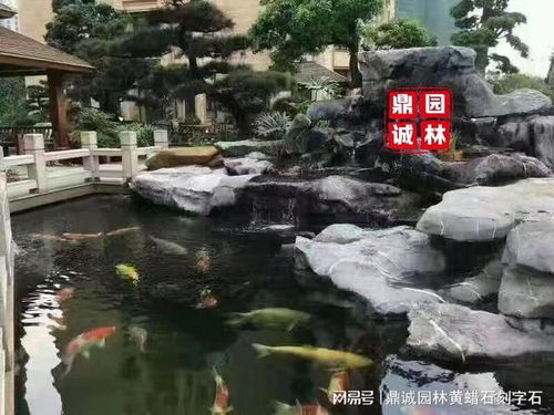 一款可以讓你靜靜觀看,暫時(shí)卸下心情觀賞的石頭 太湖石